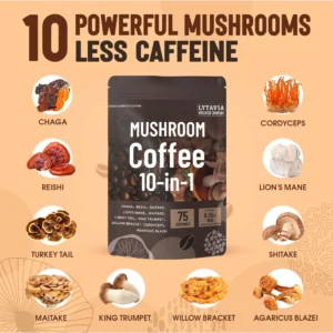 Mushroom Coffee for Daily Energy & Focus